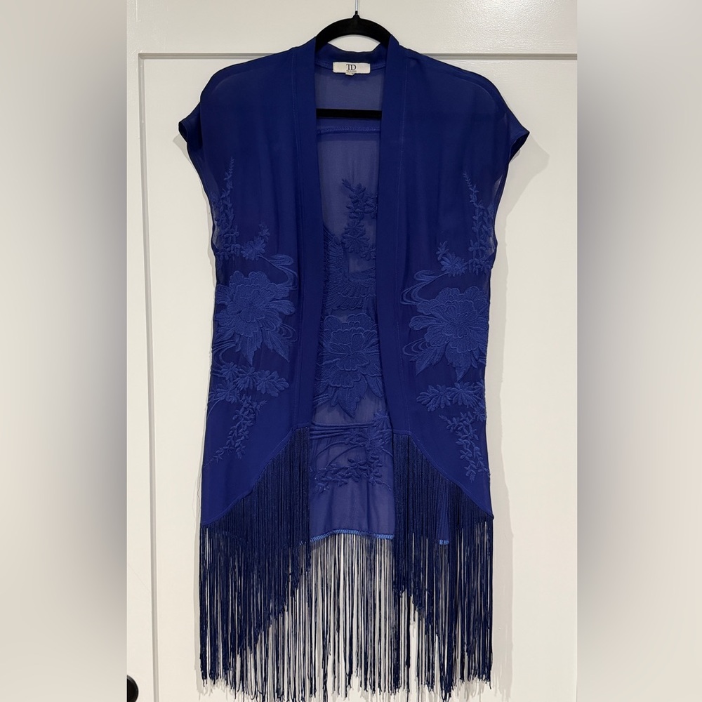 Blue Sheer Top with Fringe and Embroidery